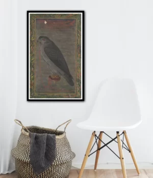 Falcon Eagle Mughal Bird Painting