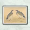 Mughal Birds Miniature Painting