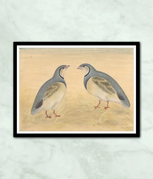 Mughal Birds Miniature Painting