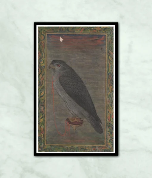 Falcon Eagle Mughal Bird Painting