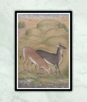 Mughal Deer Miniature Painting