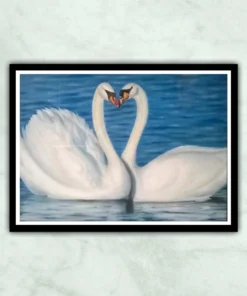 Beautiful Swan Pair Oil Painting