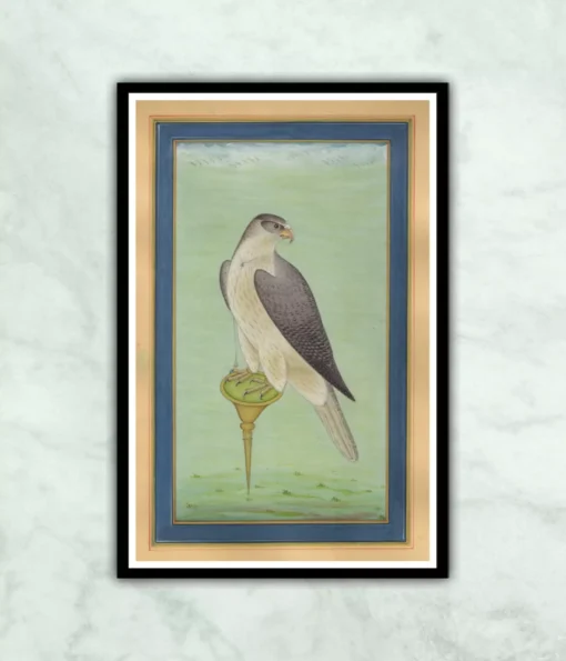 Mughal Eagle of Akbar Emperor Miniature Painting