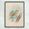 Mughal Bird on The Tree Miniature Painting for Living Room