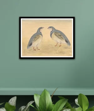 Mughal Birds Miniature Painting