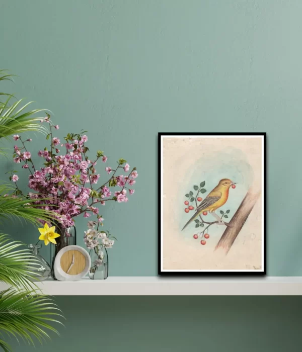 Mughal Birds for Living Room Miniature Painting